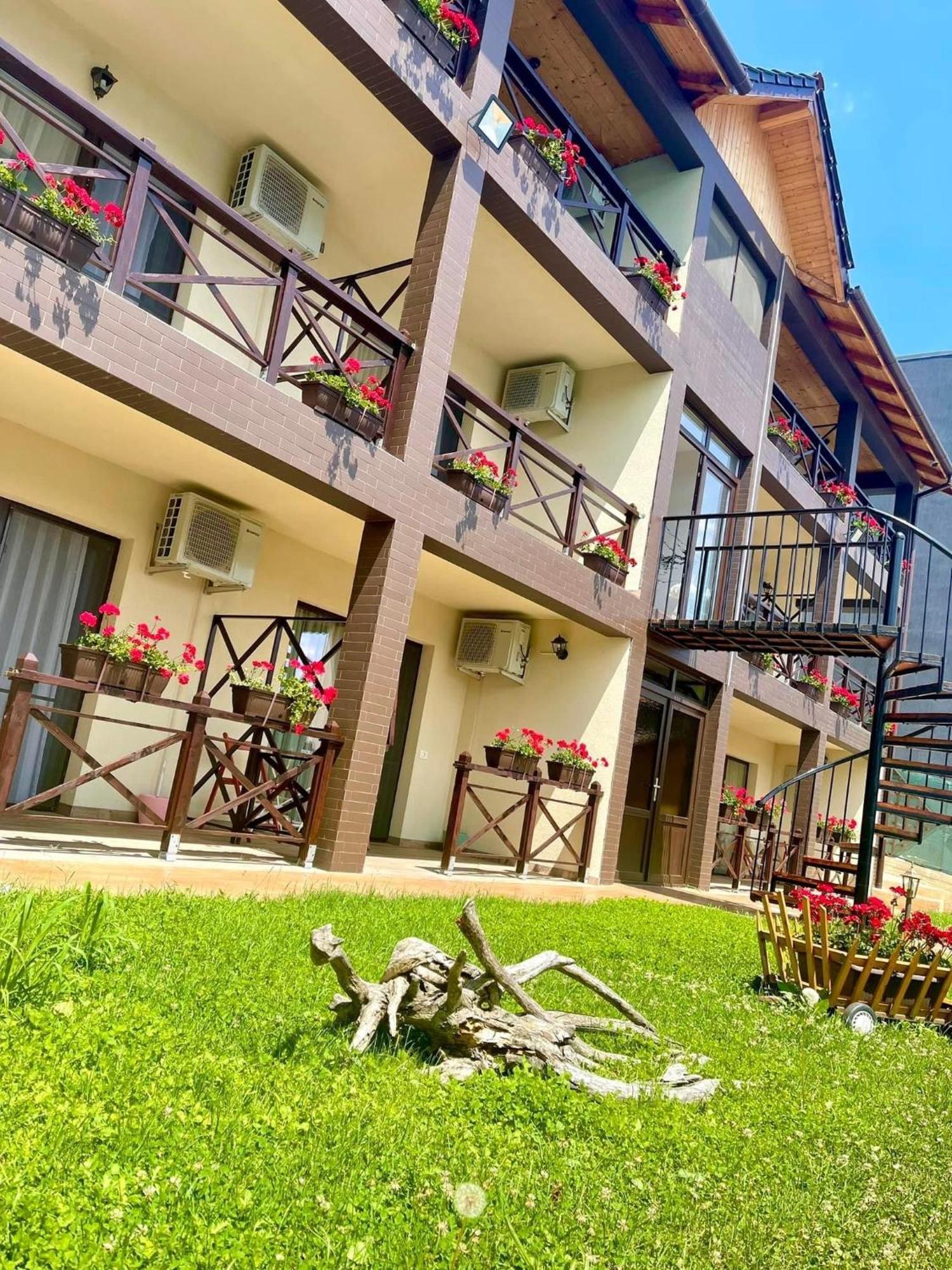 Hotel Mustaciosul Dunarii à Ieşelniţa Extérieur photo